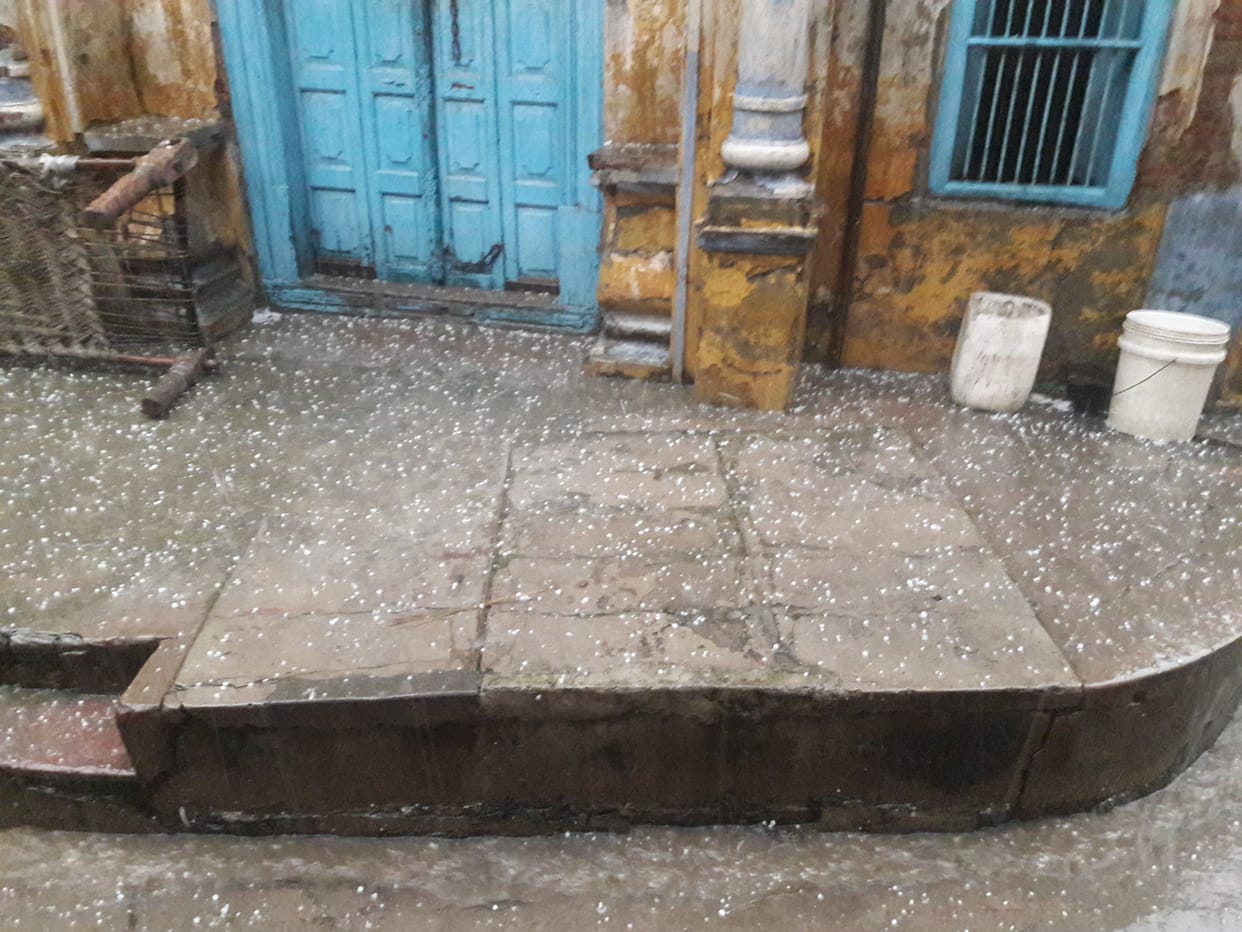 Rain and hailstorm harmful to crops
