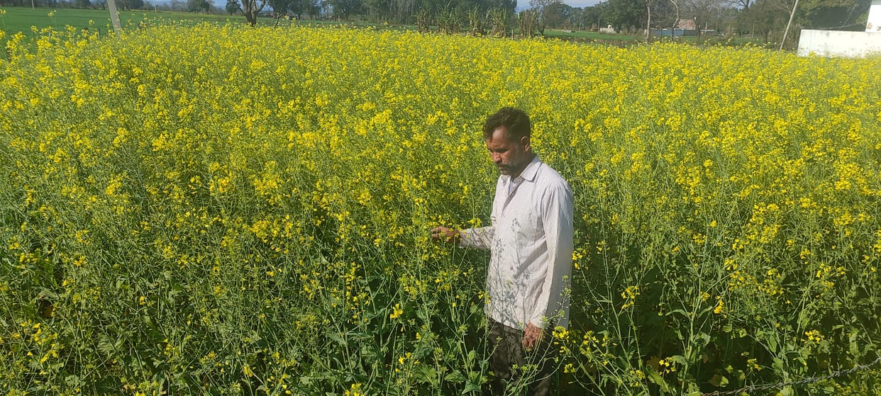 agriculture