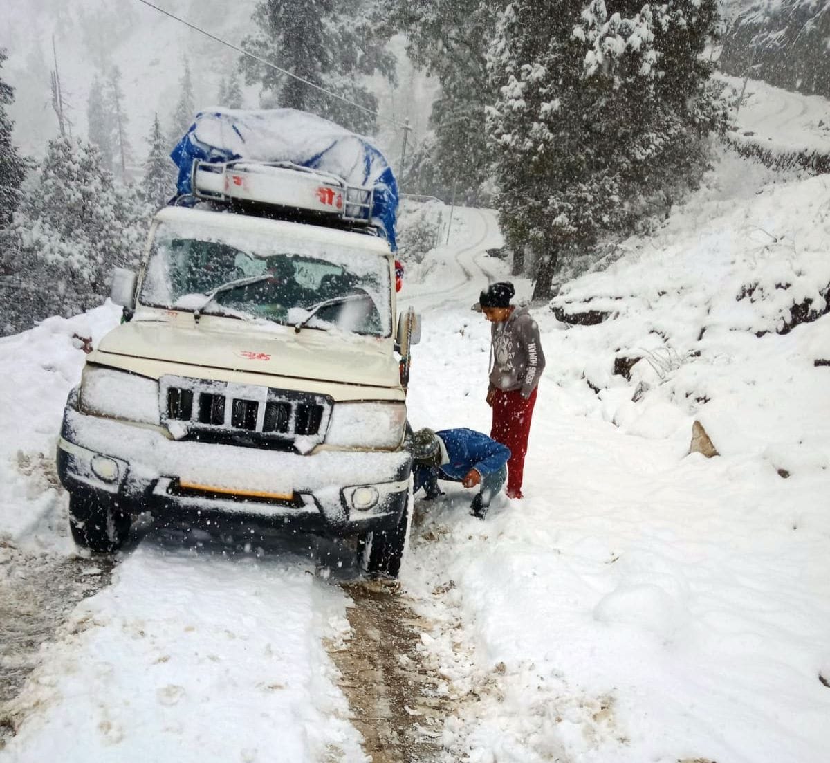 Fress Snowfall in Munsyari