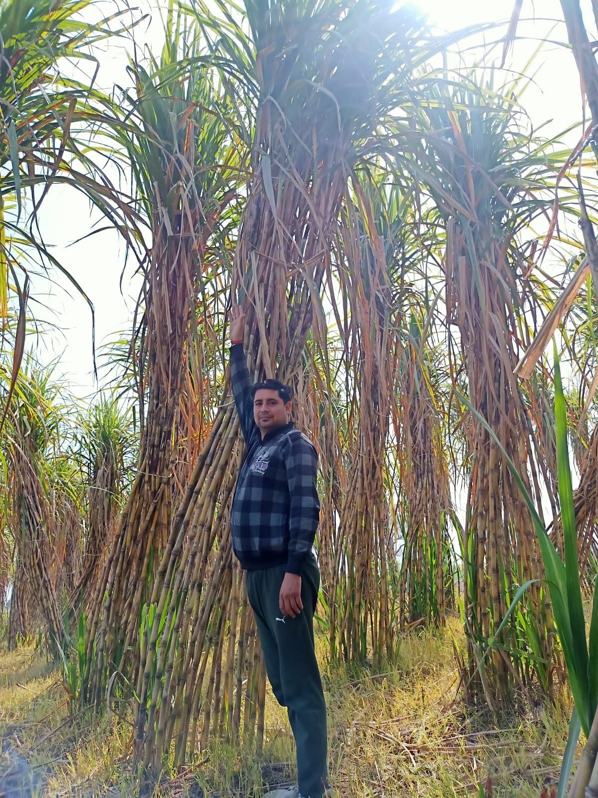 Meet the farmer who earns Rs 50-60 lakh from sugarcane, has 7 lakh  followers on social media