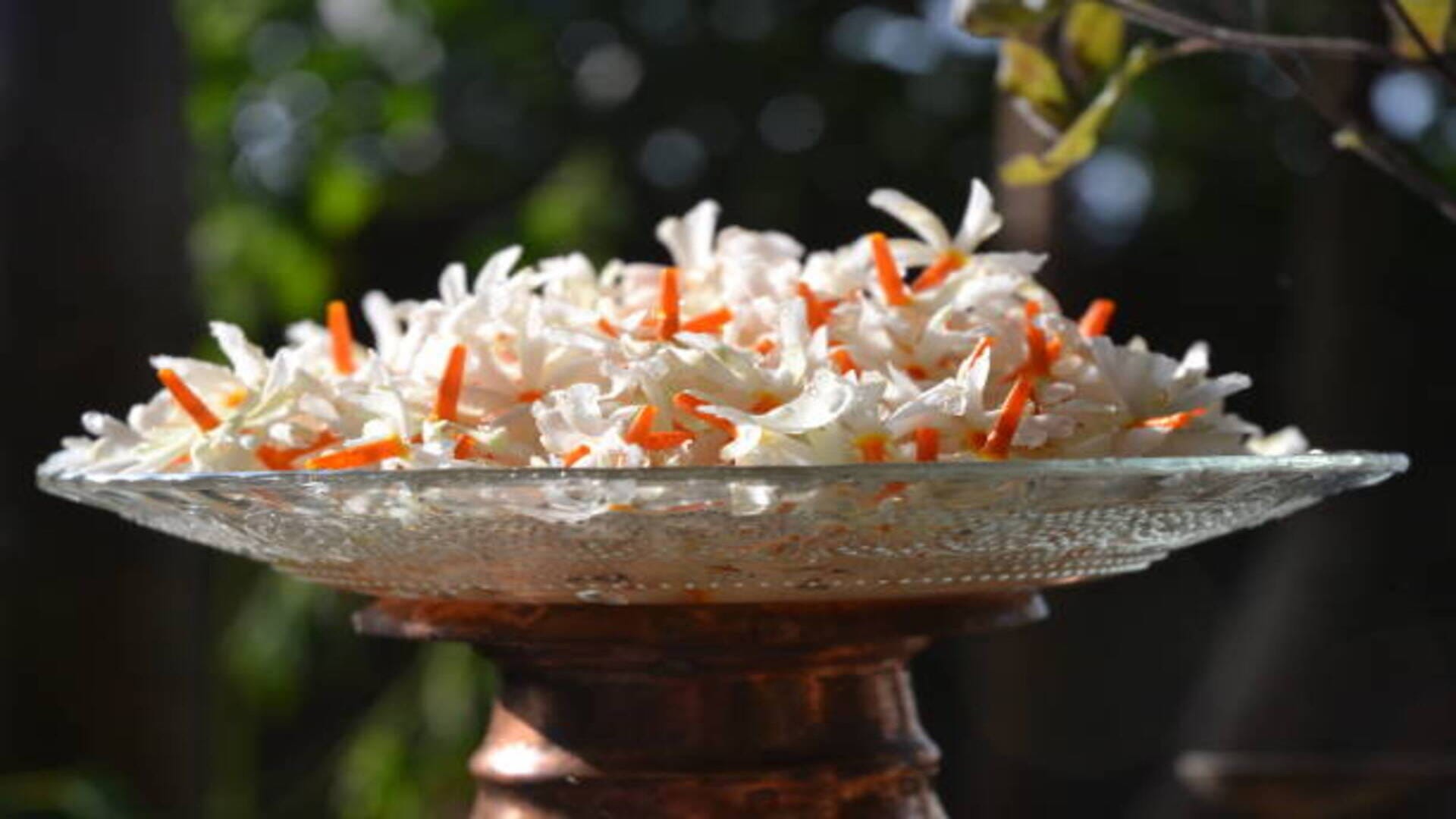 Mahashivratri 2022 these flowers to worship lord shiva to fullfill wishes