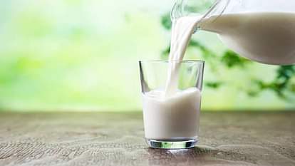 world milk day 2023, nutrition and health benefits of milk in hindi