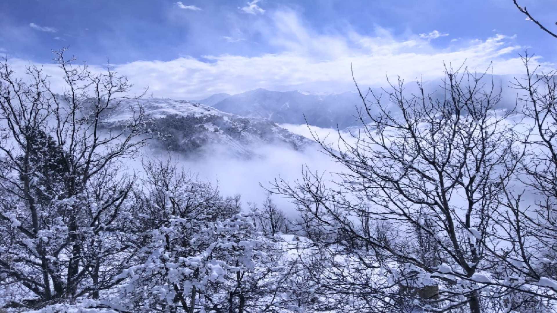 Snowfall in Himachal: Upper parts again covered with white sheet of snow, 271 roads blocked, tourist rush in Khajjiar