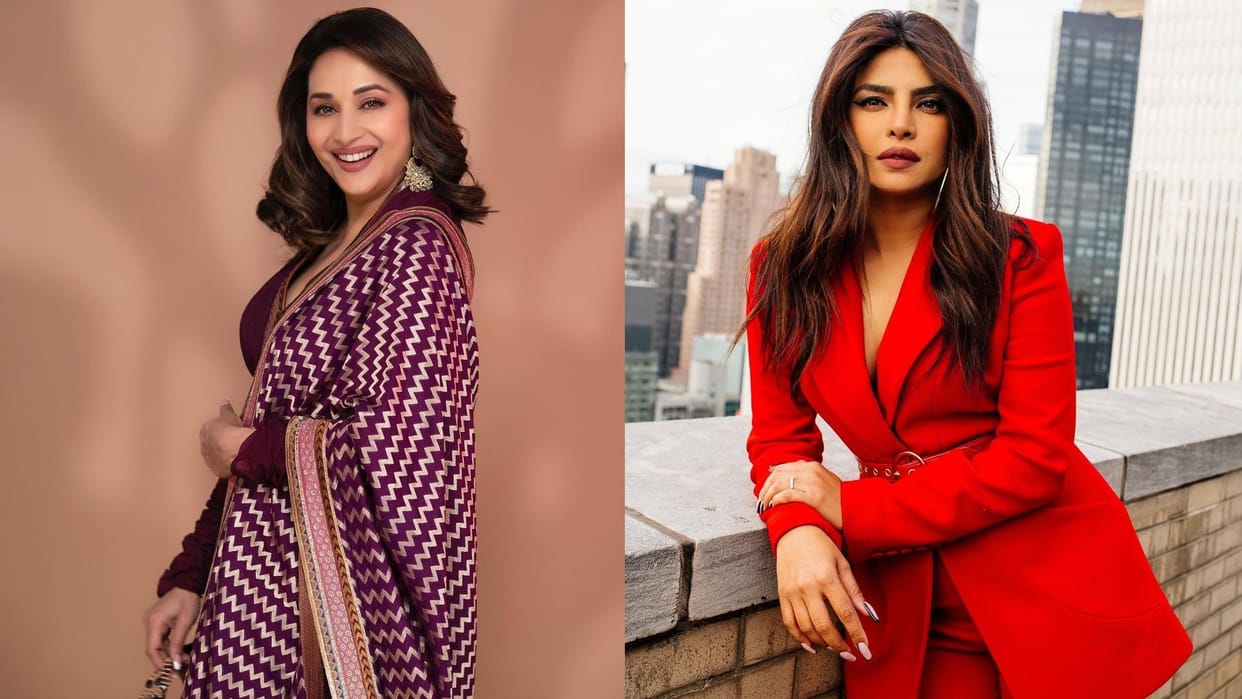 Priyanka Chopra backed American series Madhuri Dixit life now canceled know the reason