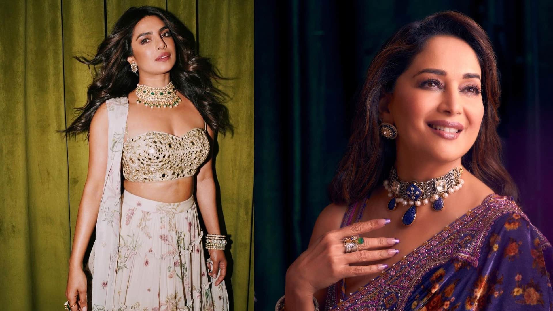 Priyanka Chopra backed American series Madhuri Dixit life now canceled know the reason