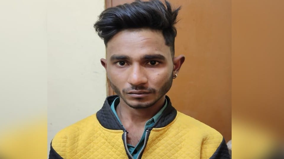 Molestation victim girl commits suicide by hanging in agra
