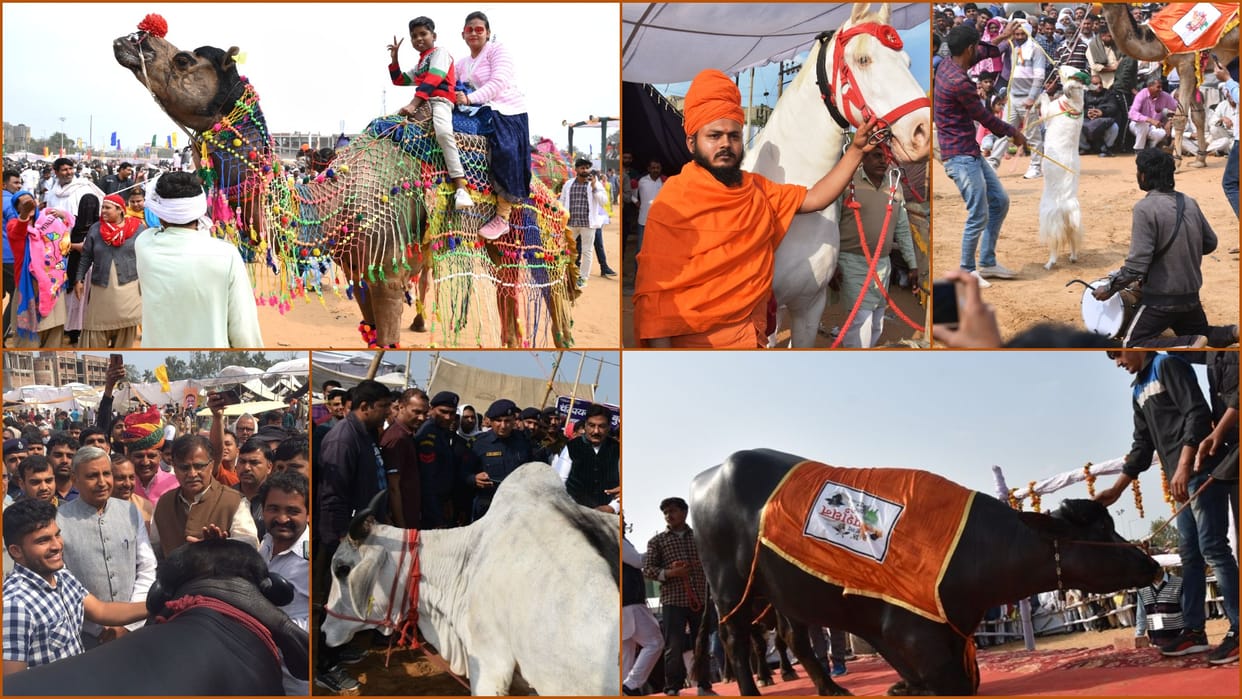 Animals became the center of attraction in the animal exhibition in Bhiwani of Haryana