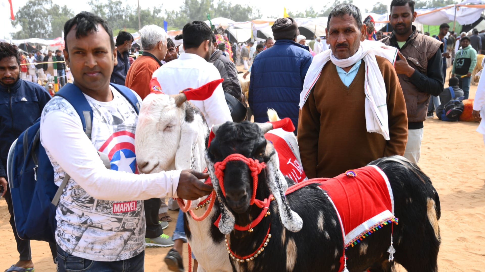 Youth chose animal husbandry instead of doing job even after doing good studies