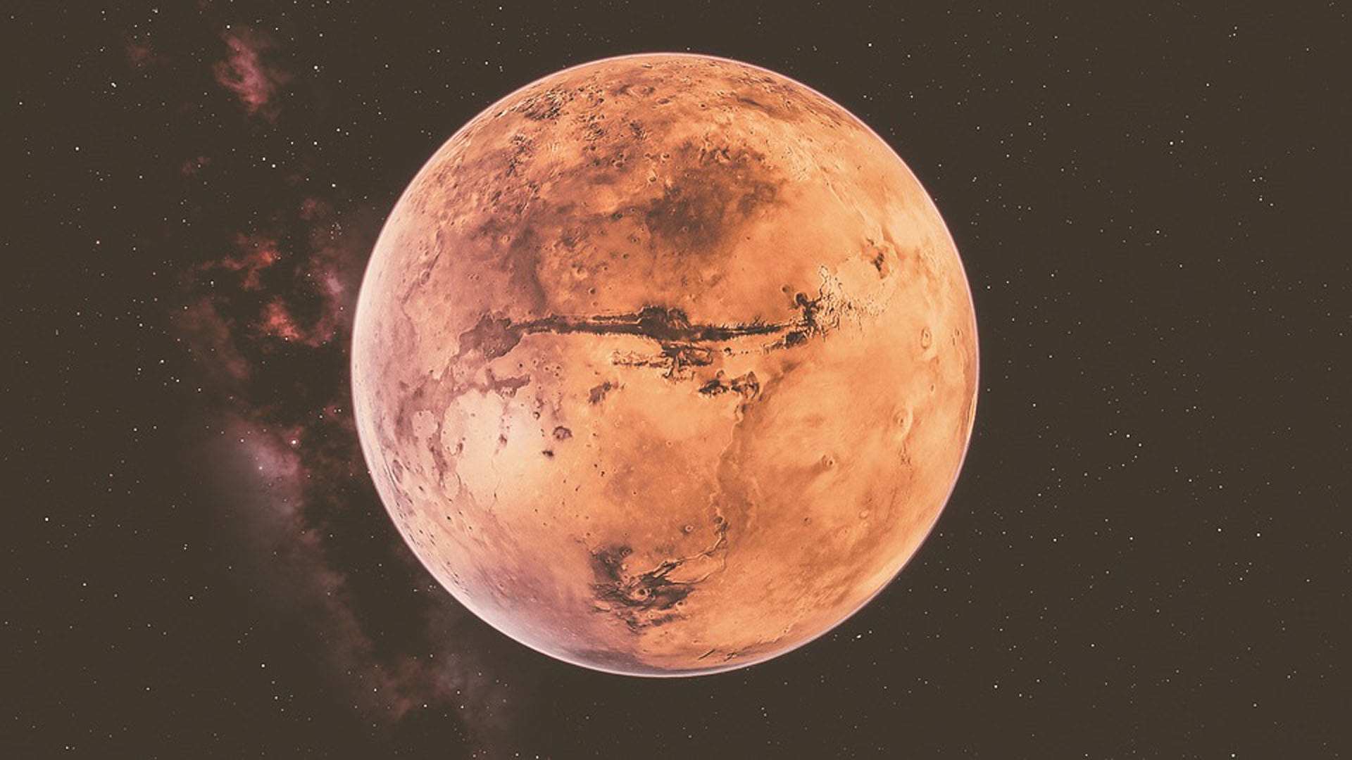 Flower on Mars found flower shaped rock on mars scientists big revealed about it