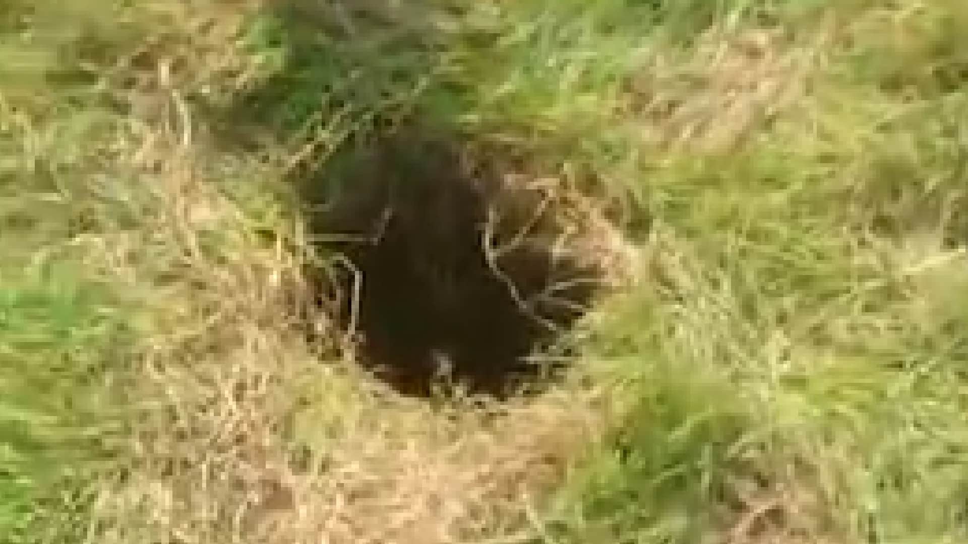 3 year old child fell in borewell while playing in Damoh, sound of save mummy from inside the pit,
