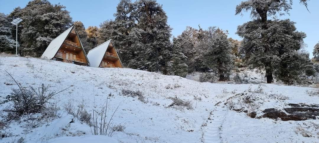 Snowfall in Munsyari