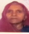 fathepur news,A woman going to the field was hit by a bull, dies