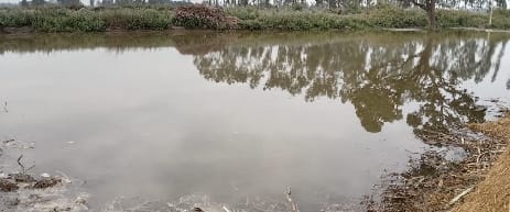 Crops standing in the fields submerged due to canal cut