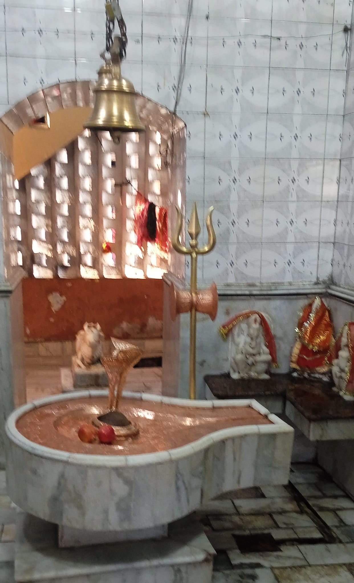 Mankameshwar Mahadev Temple: The wish is fulfilled by performing Jalabhishek here
