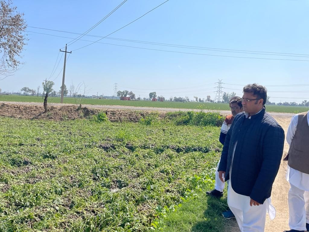 Coalition government should give adequate compensation for crop destroyed naturally: Tanwar