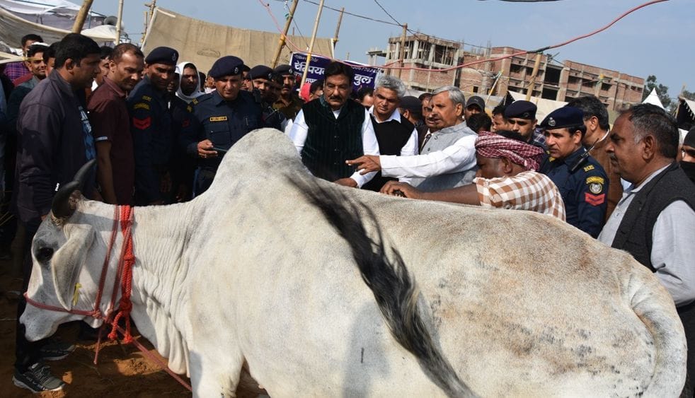 Reward for farmers and cattle rearers on the lines of players : Chautala