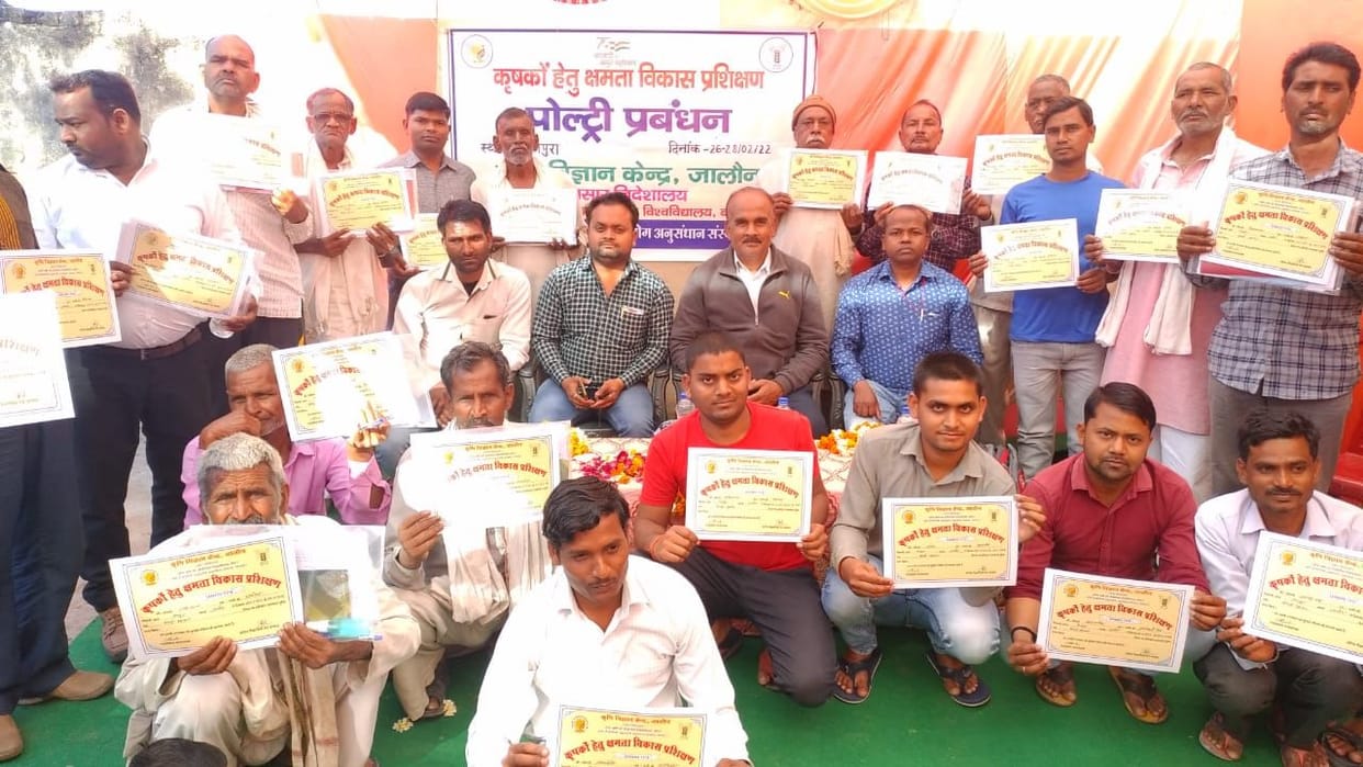 education news