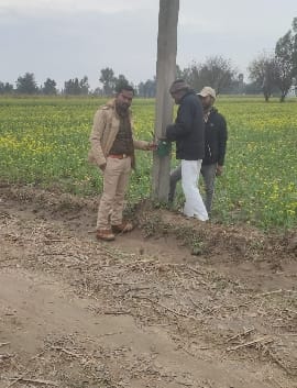 Forest department removed cameras installed for counting of tigers