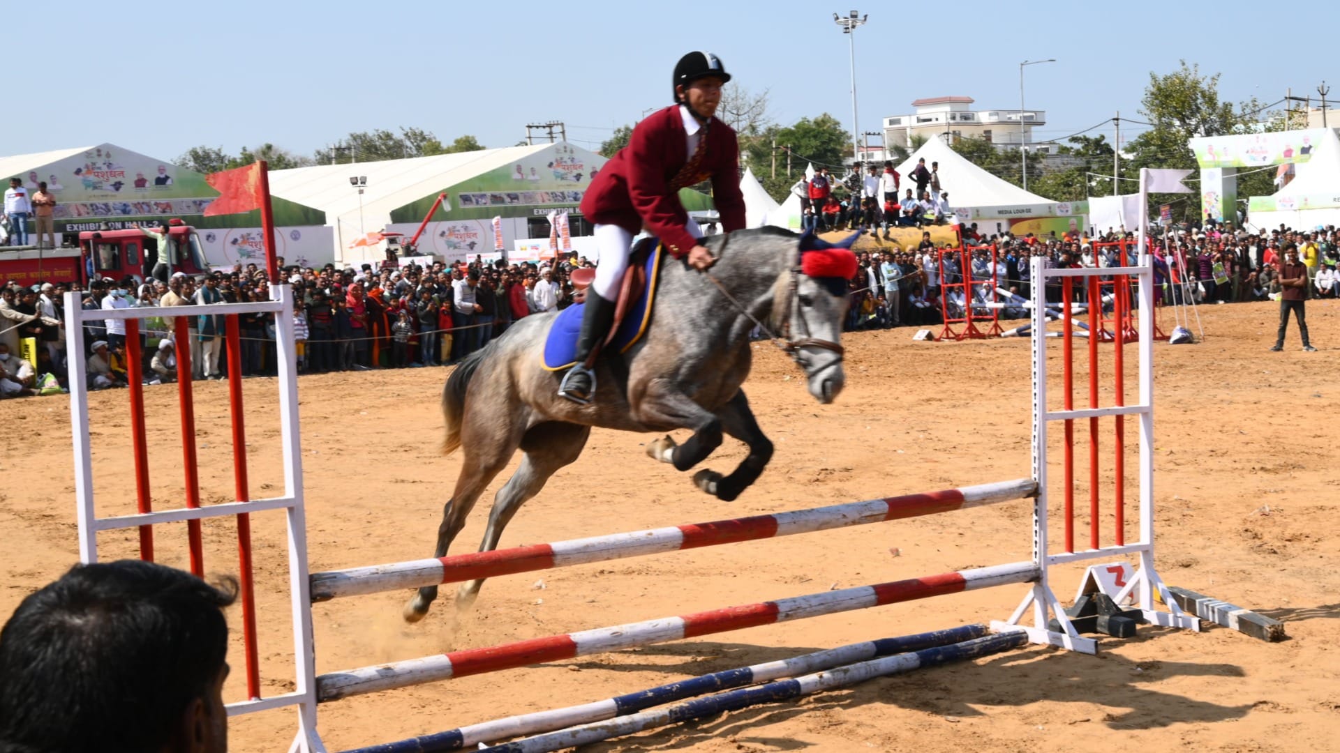 Animals showed feats in cattle fair in Bhiwani of Haryana