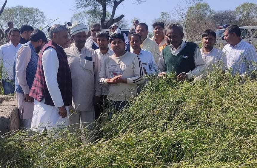 Government will compensate for the economic loss caused by hailstorm: JP Dalal