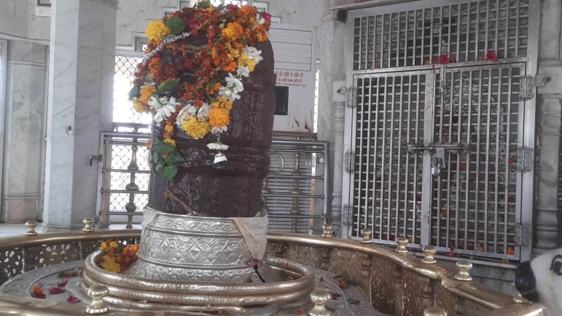 Madhya Pradesh: Know how Mahashivratri will be celebrated in these 5 famous pagodas of the state