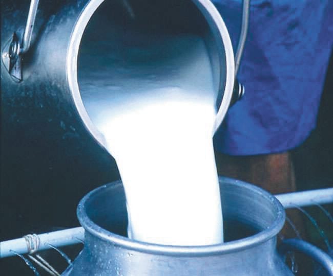 Good news: Milk ATM will be set up in Champawat