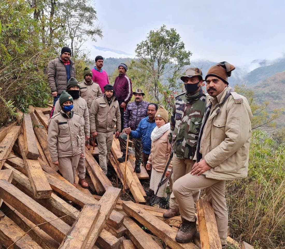 Forest Crime in Moonakot
