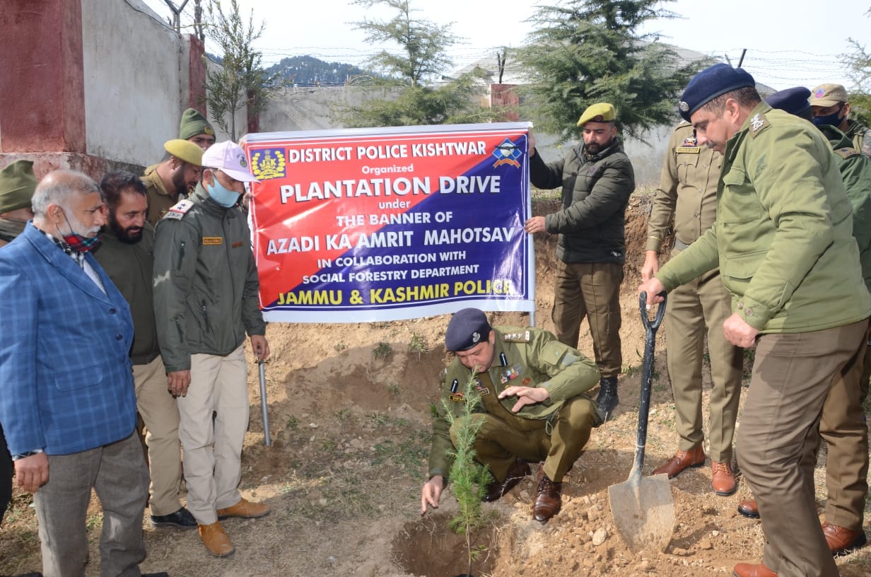 Plantation drive