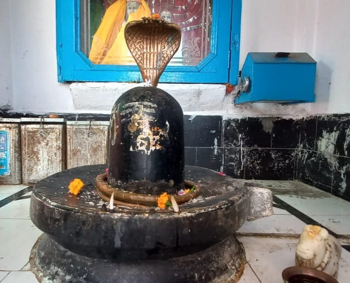 There lived a pair of snakes, a Shiva temple was built there