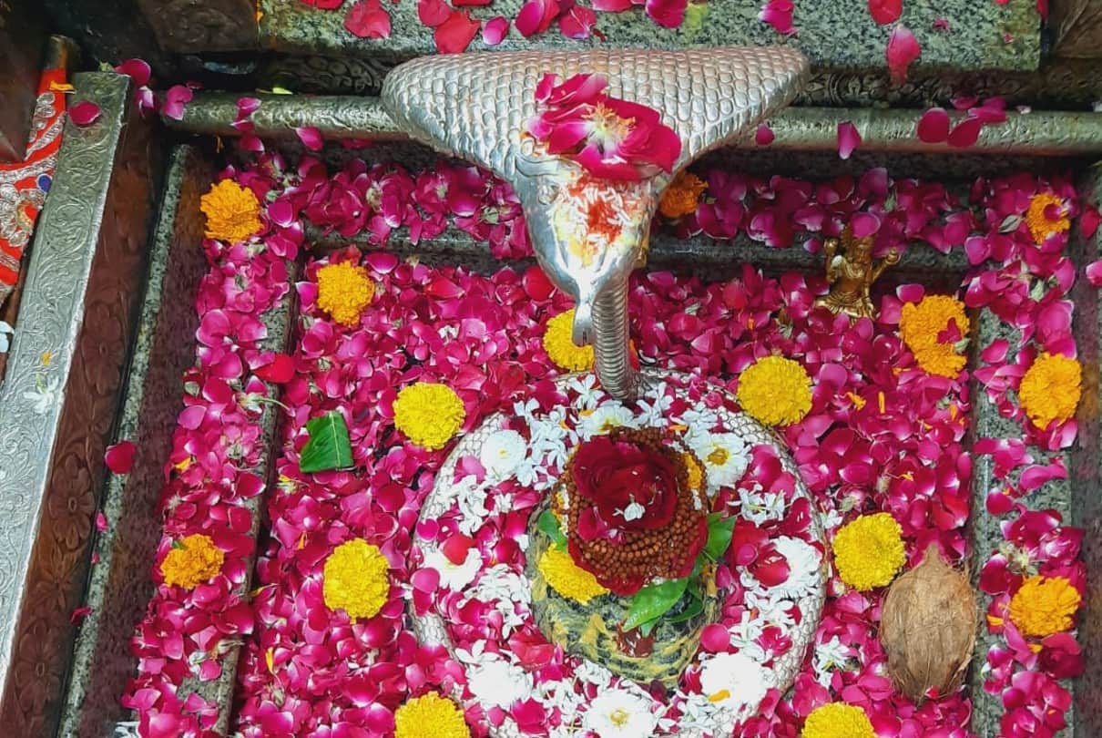 Madhya Pradesh: There are two Jyotirlingas in MP, what will be special on Mahashivratri and how can be seen, know in detail...