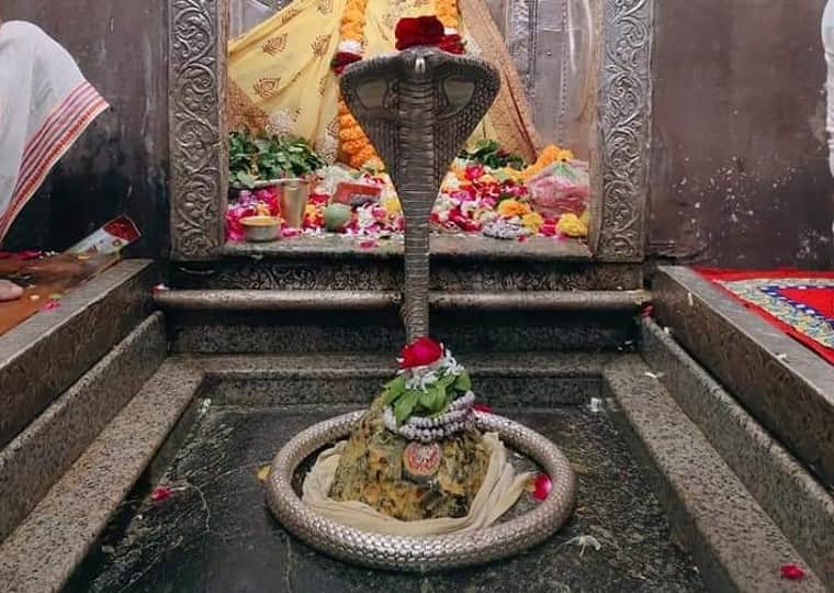 Madhya Pradesh: There are two Jyotirlingas in MP, what will be special on Mahashivratri and how can be seen, know in detail...