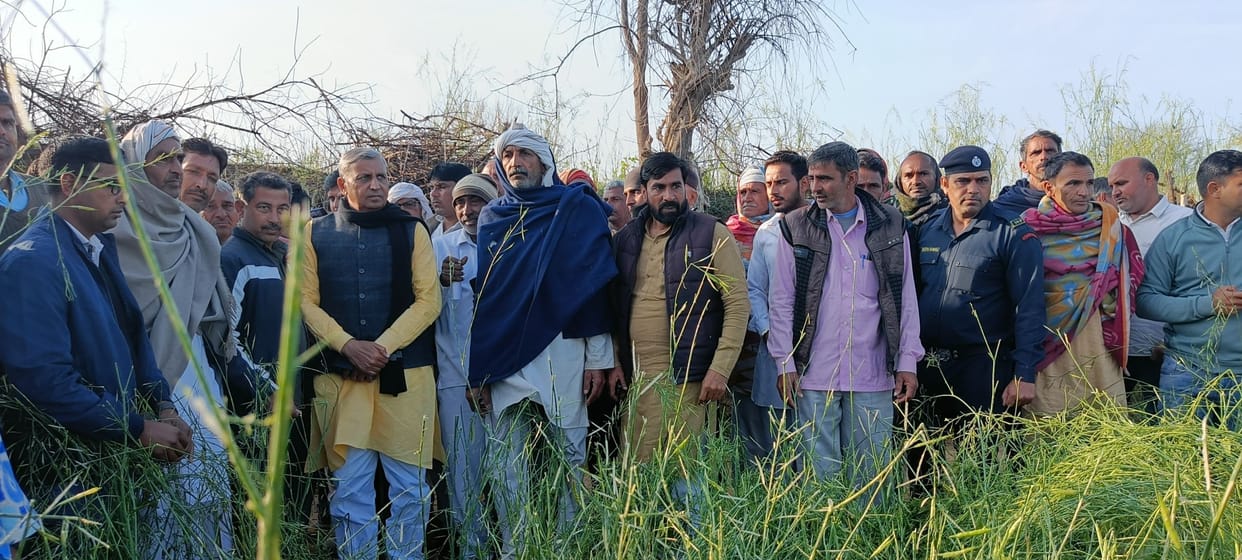 Will compensate for the loss caused by hailstorm : JP Dalal