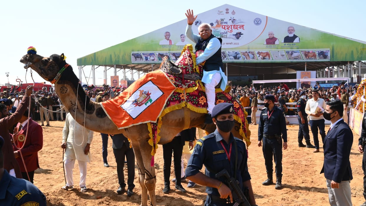 Animal Exhibition: Chief Minister Manohar Lal greets people by riding a camel