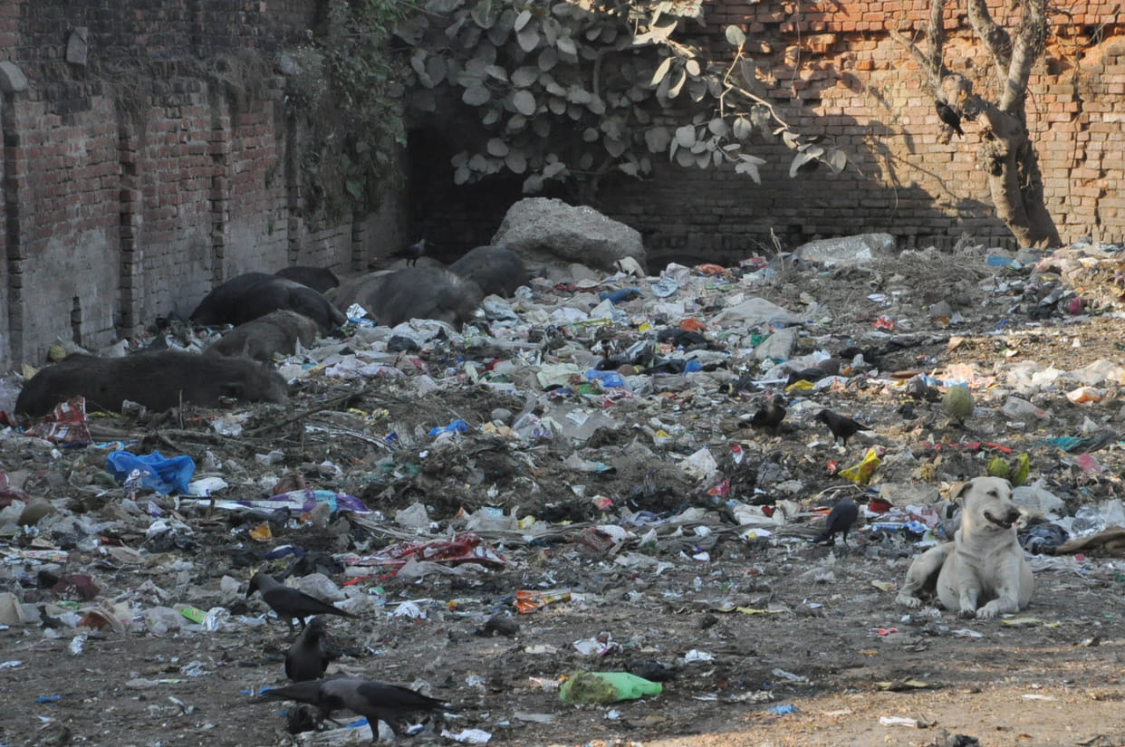 Mirror showing the open dump garbage cleanliness campaign