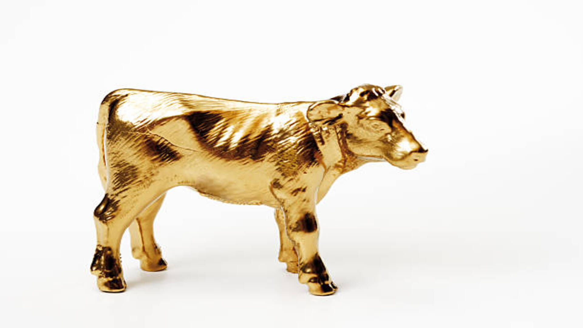 Feng Shui Tips in hindi for good luck wealth and happiness