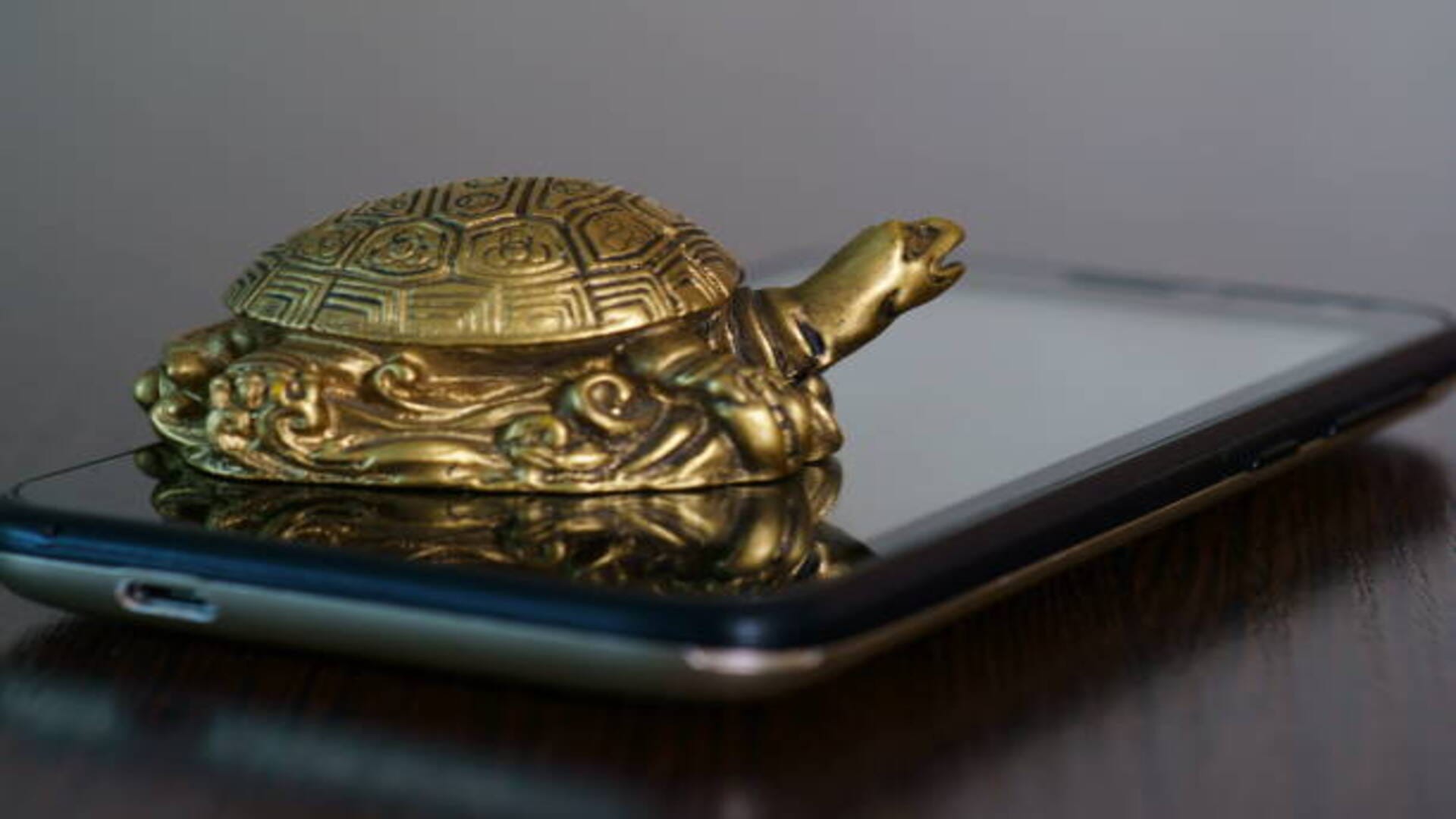 Feng Shui Tips for new year 2023 bring these five lucky feng shui things at home on for happy life