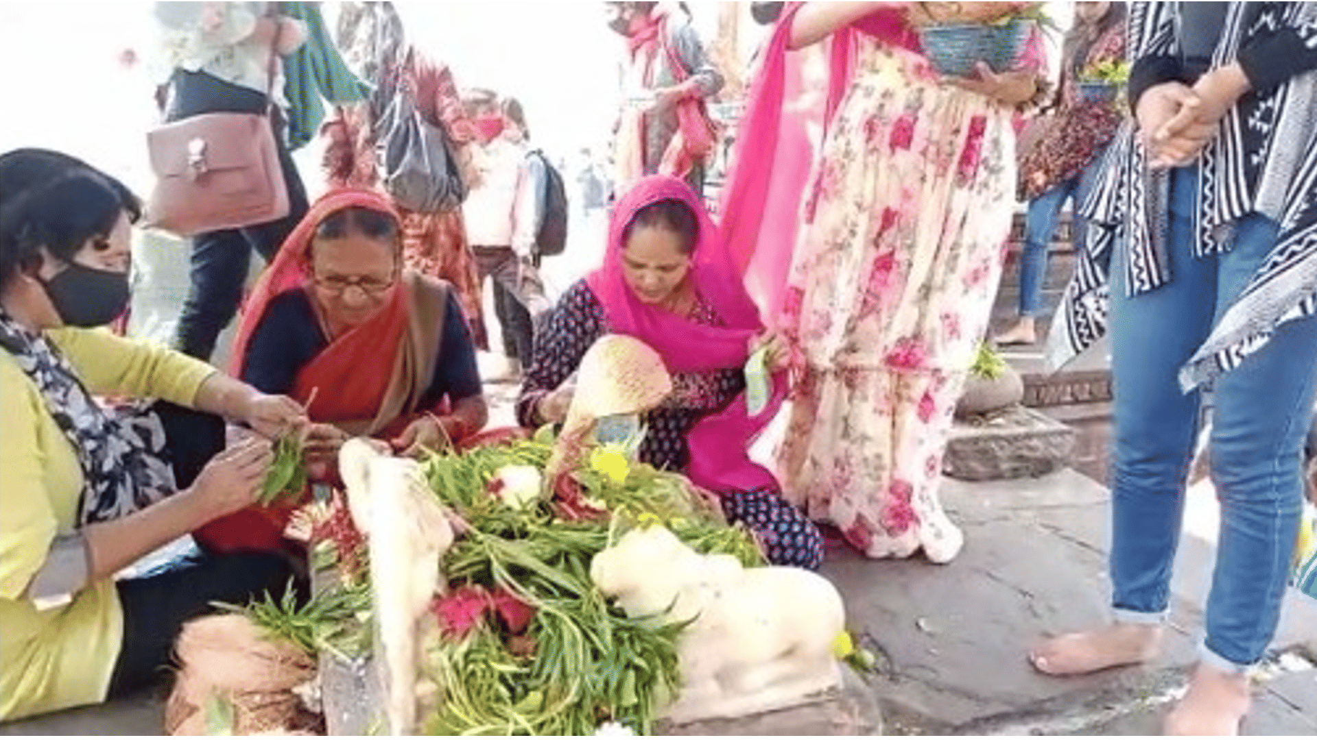 MP's Somnath: Devotees queue up in Bhojpur on Mahashivratri, country's largest Shivling decorated with flowers