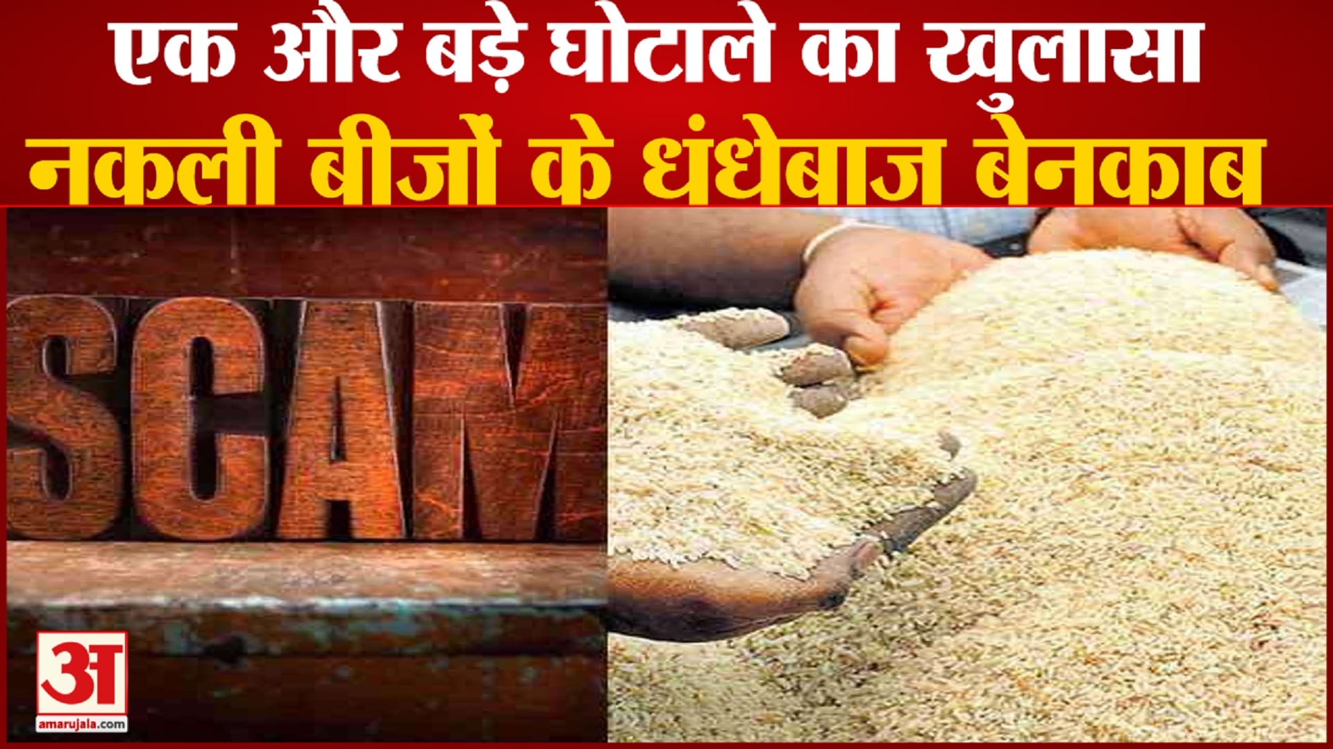 बीज घोटाला