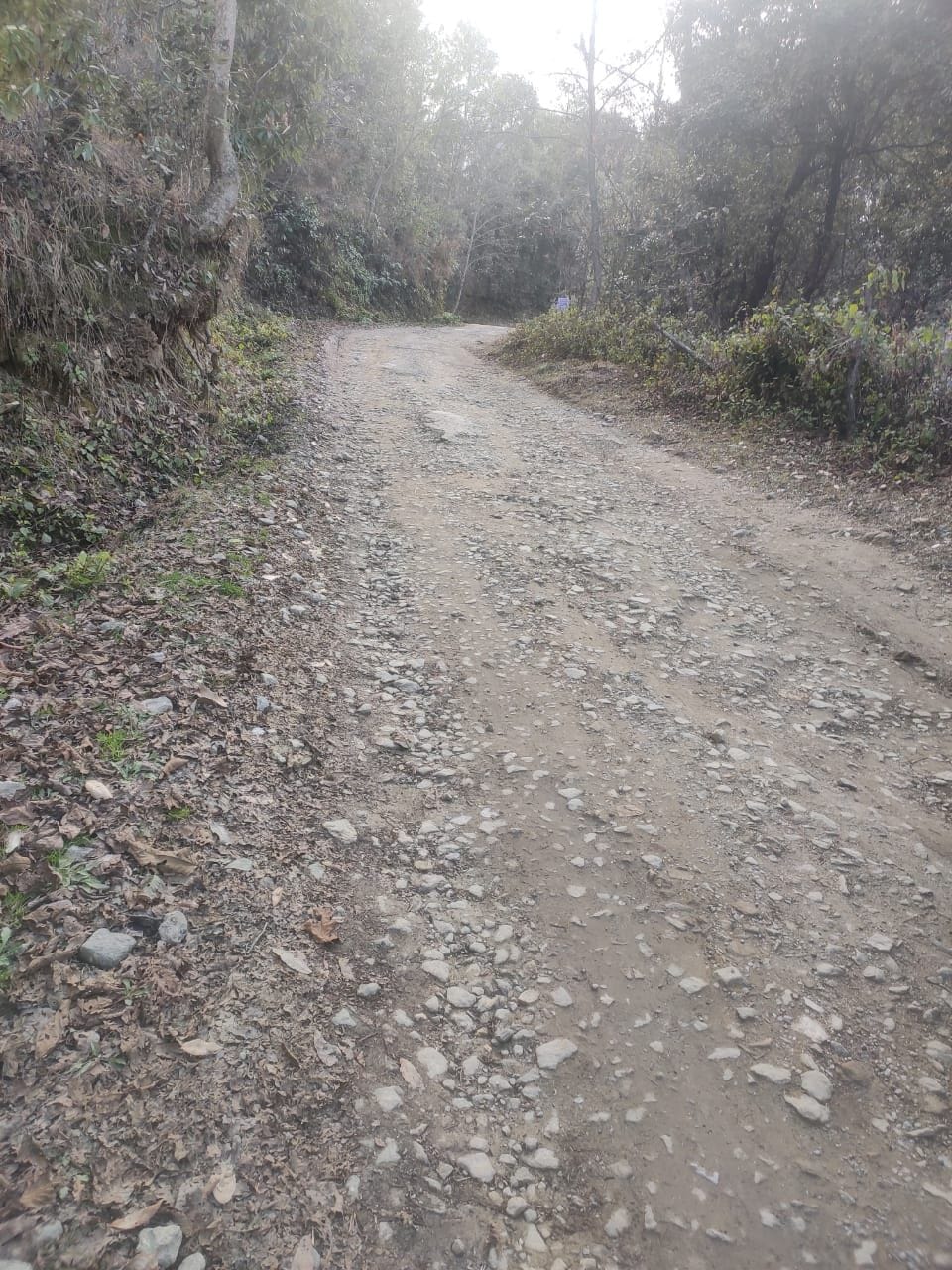 Bad Road in Kausani