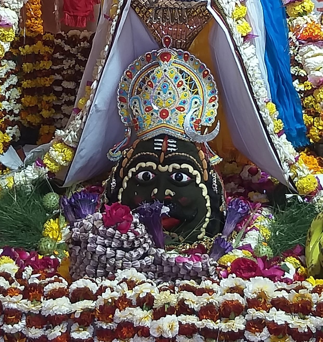 Devadhidev's darshan-worship was celebrated on Mahashivratri