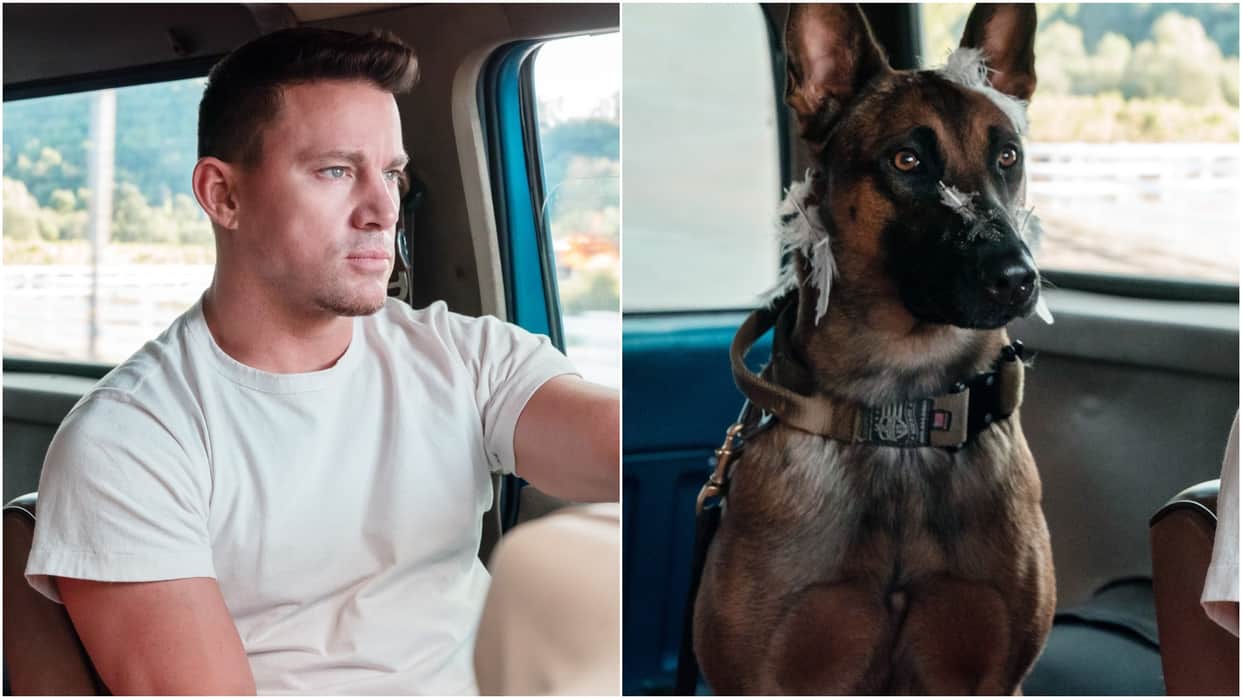 Hollywood Star Channing Tatum starrer movie Dog will be release in India on March 11