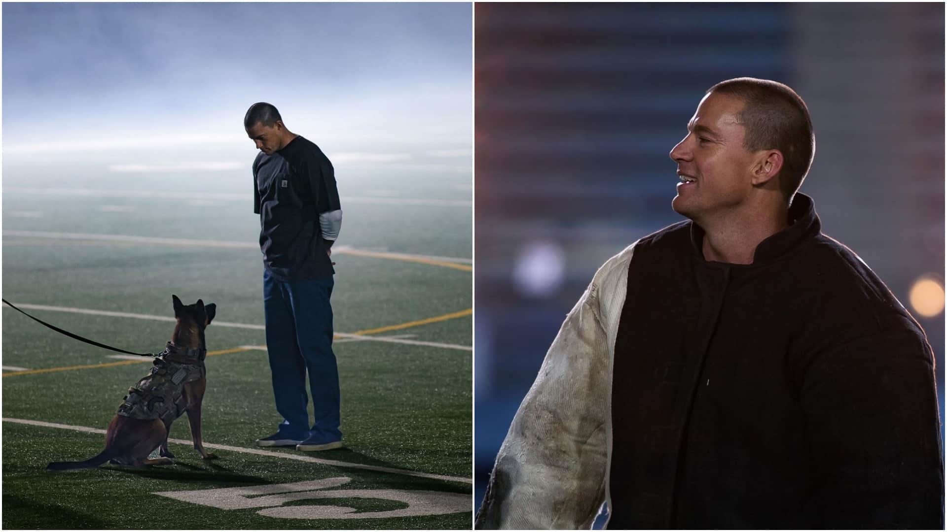 Hollywood Star Channing Tatum starrer movie Dog will be release in India on March 11