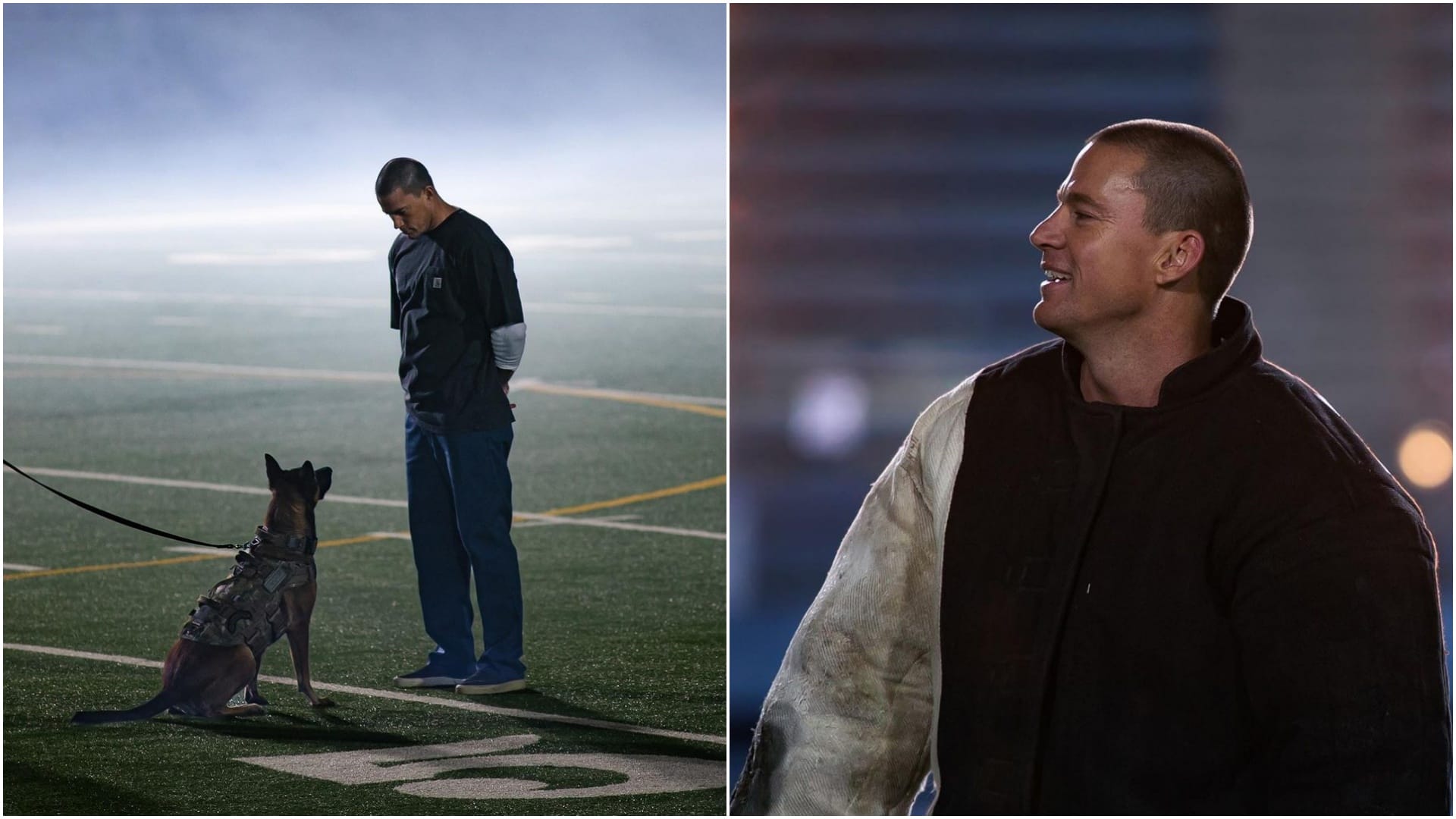Hollywood Star Channing Tatum starrer movie Dog will be release in India on March 11