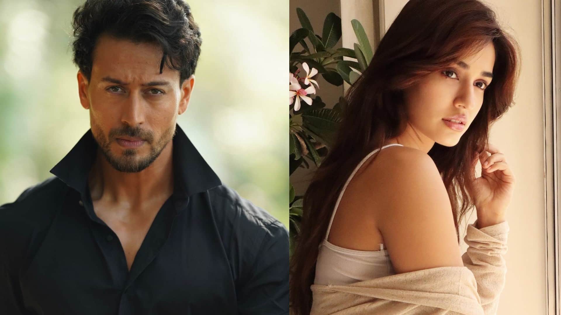 disha patani triple tick on punching bag tiger shroff react on her student video