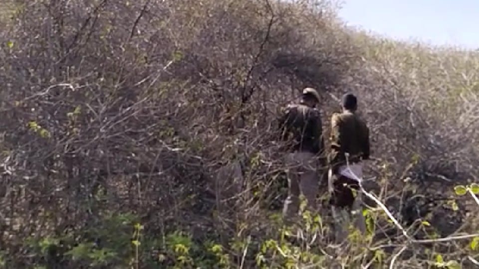 Rajasthan news womans body found in forest in Pali 