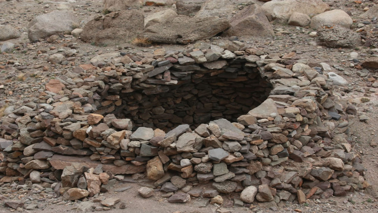 World Wildlife Day: A new study describes the success of a community-based conservation of wolves in Ladakh