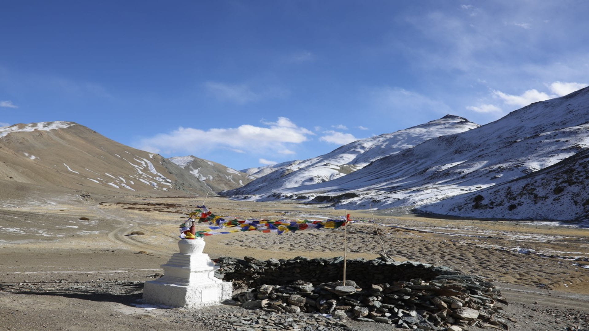 World Wildlife Day: A new study describes the success of a community-based conservation of wolves in Ladakh