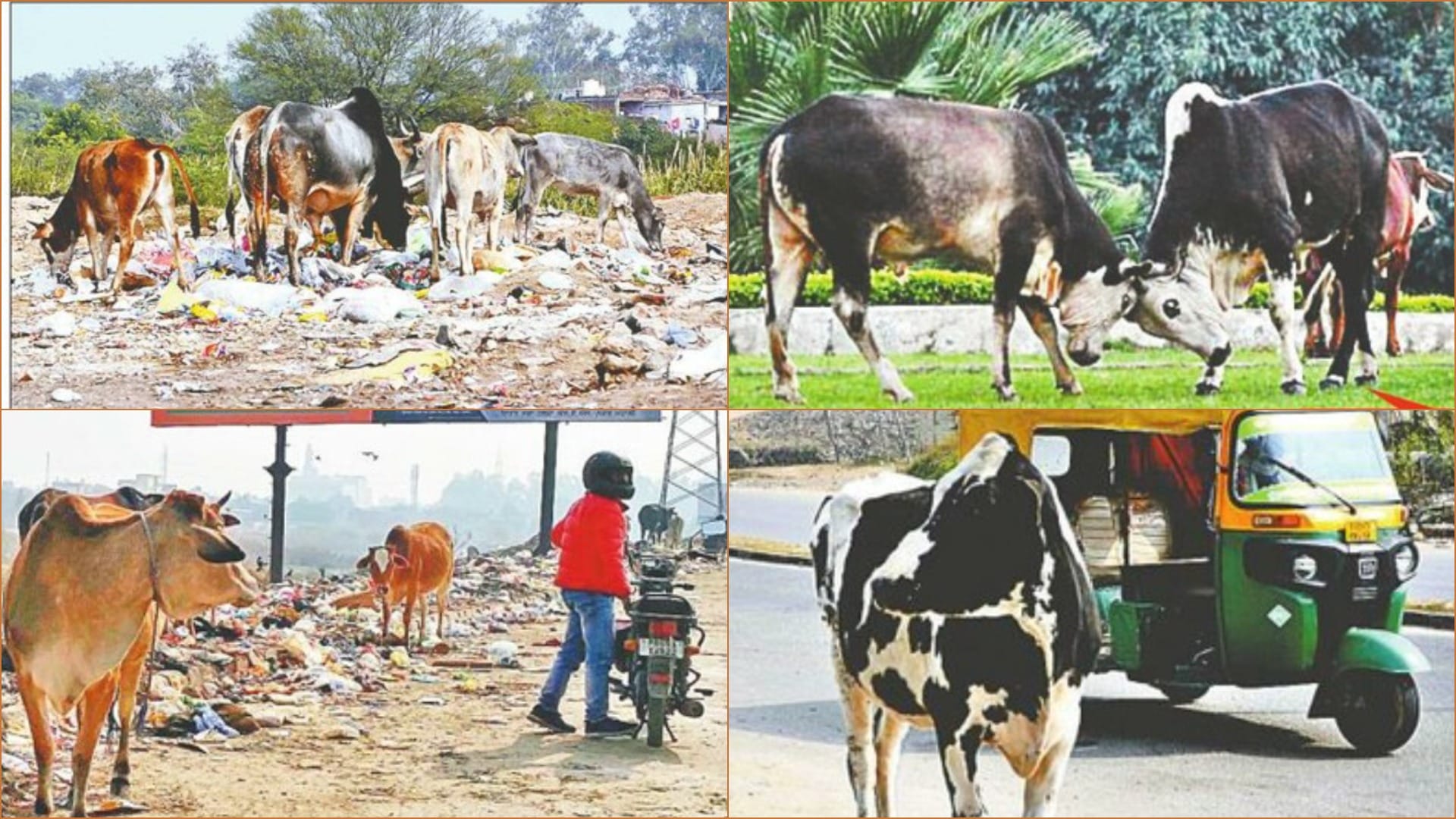 after demolition of noida twin towers challenge to control air pollution