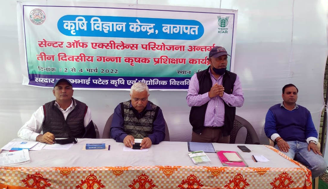 Improved variety of sugarcane will be ready at Khekra Krishi Vigyan Kendra only