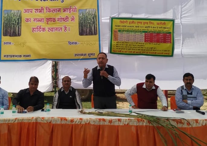 Sow sugarcane only after checking the quality of land